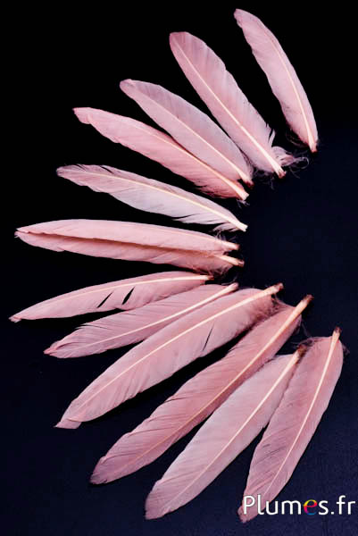 Oie Lame tête - 9-11 cm - beige rosé